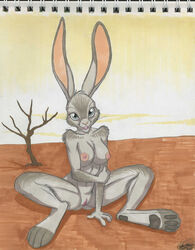 anthro background breasts desert ear female fur furry hindpaw lagomorph looking_at_viewer malachi nude pussy rabbit sitting solo spread_legs spreading