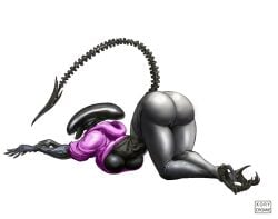 1girls alien alien_(franchise) alien_girl ass ass_focus ass_up black_body breasts fat_ass female female_focus female_only hoodie kory_cromie long_tail sharp_teeth solo solo_female solo_focus stretching thick_thighs underboob watermark xenomorph yoga_pose