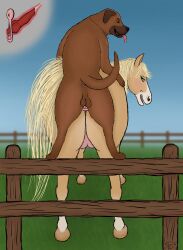 absurd_res animal_genitalia animal_penis animal_vulva anus balls blonde_hair blonde_mane blue_sky bodily_fluids brown_body brown_fur canid canine canine_genitalia canine_penis canis clitoris cum cum_in_vagina cum_inside domestic_dog duo equid equine equine_genitalia equine_vulva eye_contact female fence feral feral_on_feral from_behind_position fur genital_fluids genitals grass green_eyes hair hi_res horse internal interspecies jewelry knot knotted_penis knotting looking_at_another maklykan male male/female mammal mane markings mastiff molosser mounting necklace orange_eyes pasture penetration penis pink_vulva plant scar sex size_difference sky tail teats teeth tongue tongue_out udders vulva white_markings