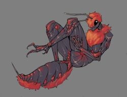 3_toes antennae_(anatomy) anthro arthropod arthropod_abdomen ass big_tail black_body black_eyes claws compound_eyes exoskeleton feet female fur_collar genitals grey_background hair hymenopteran insects lying mandibles muscular muscular_anthro muscular_female on_back presenting presenting_hindquarters red_hair simple_background solo stinger sun_bug tail toe_claws toes velvet_ant velvet_ant_(sun_bug) vulva wasp