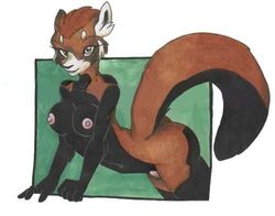 anthro breasts color female malachi nude pose pussy red_panda reverse_countershading single solo tail