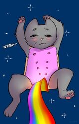 anthro doxy feline feral furry grey_fur nipples nyan_cat onta paws rainbow solo text toaster_pastry