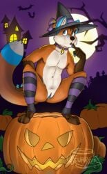 animated anthro female food fruit furrtea halloween holidays night nude peeing plant pumpkin solo