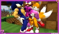 3d big_penis double_penetration naked naked_female nude nude_female sarahdellen sfm sonic_(series) sonic_the_hedgehog sonic_the_hedgehog_(series) source_filmmaker standing_on_one_leg standing_sex tails tails tails_the_fox threesome wave_the_swallow