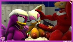 3d big_penis blowjob cum cum_in_mouth hand_on_penis huge_cock knuckles_the_echidna oral oral_sex rouge_the_bat sarahdellen sega sfm sonic_(series) sonic_the_hedgehog_(series) source_filmmaker threesome wave_the_swallow