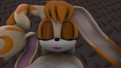 2girls 3d 3d_(artwork) age_difference aged_up anthro big_breasts breast_size_difference breasts closed_eyes completely_nude cream_the_rabbit female female_only furry huge_breasts kidnapped lagomorph lipstick lying mammal mature_female milf mother_and_daughter nude nude_female rabbit sega sfm sonic_(series) sonic_the_hedgehog_(series) teen teenage_girl teenager thehumblefellow unconscious vanilla_the_rabbit