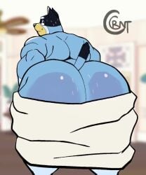 1anthro 1boy animated anthro anthro_only anthrofied ass ass_focus ass_up bandit_(bluey) bandit_heeler bedroom_eyes big_ass big_thighs blue_body blue_fur blue_skin bluey_(series) bluey_(show) bubble_ass bubble_butt butt_focus butt_shot canid canine canis cocoronut dumptruck_ass dumptruck_butt english english_dialogue english_voice_acting fur furry furry_only gay half-closed_eyes huge_ass huge_butt huge_thighs hyper_ass hyper_butt looking_at_another looking_back looking_pleasured male male_focus male_only mammal massive_ass massive_butt moving_tail mp4 naked naked_male nude nude_male presenting presenting_ass presenting_butt pulling_down pulling_down_towel showing_ass showing_butt showing_off showing_off_ass smile smiling sound teeth thick_ass thick_butt thick_thighs tongue towel towel_around_waist towel_drop towel_removed tv_show video voice_acted