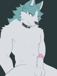 absurd_res anthro blue_body blue_fur brand_new_animal canid canine canis circumcised collar collar_only erection fur genitals grey_background grey_body grey_eyes grey_fur hi_res hikaridraws male mammal muscular muscular_male nude penis shirou_ogami simple_background solo studio_trigger wolf