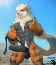 anthro arcanine canine leash looking_at_viewer muscular pokemon pokemon_(species) tagme todex