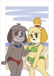 animal_crossing banana beach bikini bikini_skirt bra canine chubby digby_(animal_crossing) fruit furry goggles goggles_around_neck green_bikini isabelle_(animal_crossing) nintendo nipples_visible_through_clothing sea seaside skirt smile swimsuit underwear visibel