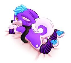 ass balls blue_hair canine clothes dog femboy fur furry_ass furry_ears furry_tail hair heart husky leg_warmers legwear looking_back lying male male_only mammal niu-ka niuka on_front paws purple_fur purpy raised_tail scarf solo tail white_fur