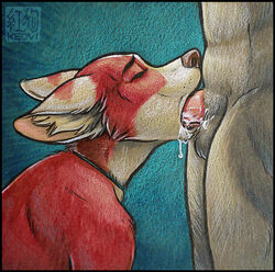 2011 anthro balls canine closed_eyes cum cum_in_mouth deep_throat fellatio fur furry gay keovi male nude oral oral_sex penis red sex