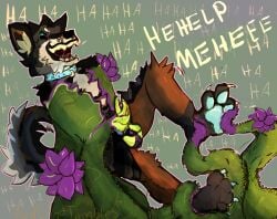 begging begging_for_mercy canid canine chu-tora collar furry genitals hi_res laugh leapsandtumbles male mammal onomatopoeia penis plant questionable_consent restrained solo sound_effects text tickle_torture tickling tickling_feet tickling_genitalia tickling_penis