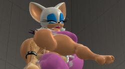 3d 3d_(artwork) 3d_model 5_toes amy_rose amy_rose_the_werehog anthro barefoot feet female fuckgirl furry futa_on_female futanari megaswitchsfm mobian mobian_(species) mobian_bat reverse_cowgirl_position rouge_the_bat sega soles sonic_(series) sonic_adventure_2 sonic_the_hedgehog_(series) sonic_unleashed spiked_cock_ring toes wip