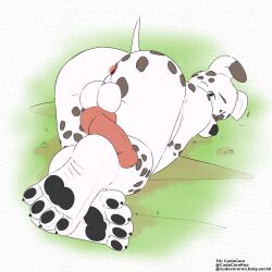 2d 2d_(artwork) anus balls begging canid canine canis cudacore dalmatian domestic_dog erection feet genitals hi_res knot male male_only mammal pascal_(cudacore) paws penis presenting slightly_chubby solo_male toes white_balls