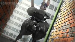 3d 3d_(artwork) anthro balls big_balls big_breasts big_cock big_penis big_testicles bodysuit breasts bulge cock dickgirl disney futa_only futanari huge_breasts judy_hopps large_breasts latex latex_suit lordscrubart penis police policewoman rabbit rabbit_ears rabbit_girl rabbit_humanoid rabbit_tail skin_tight skin_tight_outfit skintight skintight_bodysuit skintight_clothing testicles tight_bodysuit zootopia zootropolis