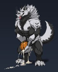 abs achaiwolf_(artist) anthro biceps big_muscles biped black_and_white_fur black_background black_body black_fur bodily_fluids body_hair body_tuft breath canid canine canis chest_hair chest_tuft claws cum cum_drip cum_in_object cum_in_pumpkin cum_on_ground cumshot dripping ejaculation fangs food fruit fucking_pumpkin fur furiousfluffing genital_fluids halloween head_tuft hi_res holidays looking_at_viewer looking_pleasured male mammal masturbation multicolored_body multicolored_fur muscular muscular_anthro muscular_legs muscular_male nipples pecs plant pubes pumpkin pumpkin_masturbation sharp_claws sharp_teeth simple_background solo tail teeth tongue tongue_out tuft were werecanid werecanine werewolf white_body white_fur wolf