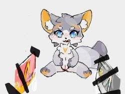 anke anthro arisel_uwu canid canine credit_card female fox fur genitals grey_body grey_fur hi_res mammal mascot pingan_bank pussy