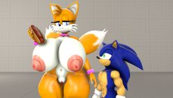 anthro big_ass big_breasts big_butt bigger_female blueapple chili_dog completely_nude_female dumptruck_ass feminine_body fox_girl inminent_sex looking_at_partner seductive sonic_(series) sonic_the_hedgehog sonic_the_hedgehog_(series) tails thick_thighs venus_body