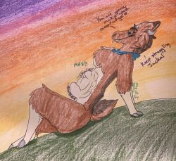 anthro aster_(disambiguation) atlasnaster_(artist) bell bell_collar bovid brown_body brown_fur caprine collar female female_pred fur hooves horn male male/female mammal organs rumbling_stomach sheep solo stomach stomach_bulge struggling struggling_prey tan_body tan_fur text vore