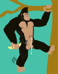 anthro ape balls erection fur genitals gorilla gorrizz haplorhine humanoid_genitalia humanoid_hands humanoid_penis male male_only mammal manly monkey monkey_boy monkey_feet muscular muscular_anthro muscular_male nipples nude outdoor_nudity penis prehensile_feet primate simple_background solo