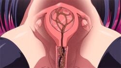 animated animated_gif cap cervical_insertion cervical_penetration cervix clothing cross_section endometrium fallopian_tube fallopian_tubes female fimbria izumi_hikaru labia_minora long_hair lowres mary_jane_(company) multiple_insertions myometrium ovaries penetration perimetrium purple_hair pussy screencap screenshot seito_kaichou_hikaru spread_legs tentacle thighhighs uncensored uterus vaginal_penetration virgin x-ray x-ray_only