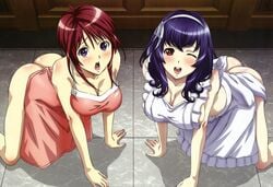 2girls all_fours apron artist_request ass blue_hair blush breasts cleavage hair large_breasts long_hair multiple_girls naked_apron official_art open_mouth oribe_mafuyu red_hair seikon_no_qwaser wink yamanobe_tomo