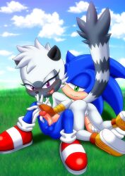 sonic the hedgehog from idw publishing by bbmbbf