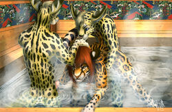 2009 bent_over female from_behind hot_tub male nude ocelot penetration penis raised_tail serval sex straight tail thewhitefalcon threesome water wet