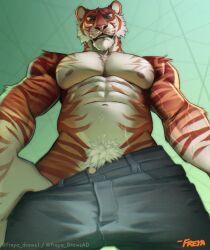 2023 abs anthro bottomwear clothing digital_drawing_(artwork) digital_media_(artwork) felid freya_draws fur hi_res looking_at_viewer looking_down low-angle_view male mammal navel nipples pantherine pants pecs pubes solo tiger