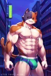 1boy abs ai_generated anthro big_bulge blue_fur blue_sky briefs brown_fur brown_tail bulge calico_cat cat_ears cat_tail catboy city detailed detailed_background epic_games felid feline felis fortnite fortnite:_battle_royale male male_breasts male_only meowscles meowscles_(fortnite) muscular muscular_anthro muscular_arms muscular_male night nipples nude nude_male orange_eyes pecs pink_nose public public_exposure shirtless shirtless_(male) shirtless_male solo solo_focus solo_male stable_diffusion thick_thighs tricolor tricolor_fur underwear underwear_only video_game_character video_games white_body white_fur wide_hips