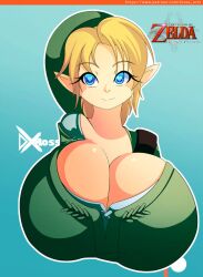 big_breasts boob_window clothed d-xross female female_only genderswap genitals huge_breasts link nintendo solo the_legend_of_zelda