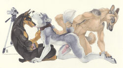 2011 all_fours anal anal_sex anthro balls camera canine collar cum cum_in_ass cum_inside doberman from_behind fur furry furry_only gay knot licking male masturbation nude penetration penis raised_tail sex shinigamigirl tail tail_grab threesome tongue