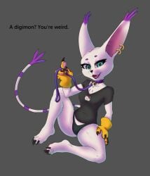 1girls anthro bell_collar chickenmcthugget clothed collar digimon female female_only gatomon gloves leash looking_at_viewer panties tail text