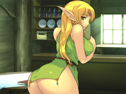 deedlit from record of lodoss war by yoko jyusuke
