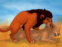 disney feline female female_feral feral kisu lion lioness male nala penis scar_(the_lion_king) tail the_lion_king