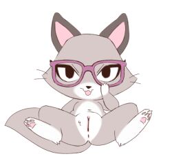 domestic_cat eyewear felid feline felis female genitals glasses hindpaw mammal misterdonut no_humans pawpads paws pixel_(the_gamercat) pussy spread_legs spreading the_gamercat