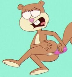 anal anal_masturbation anal_sex anthro ass censored censored_genitalia censored_pussy dildo dildo_in_ass dildo_insertion female flat_chest looking_pleasured looking_up low_res mammal masturbation nickelodeon no_breasts object_in_ass off_model penetration rodent sandy_cheeks sciurid sex_toy sex_toy_in_ass sex_toy_insertion solo spongebob_squarepants spread_butt spreading third-party_edit tree_squirrel vsdrawfag