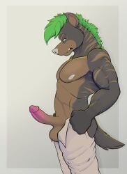 anthro anthro_only balls blue_eyes canid canine eanic8 erect_penis erection furry furry_only green_eyes green_hair grey_body grey_fur grey_skin heterochromia hyena penis penis_out scar tail