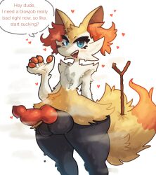 braixen from nintendo by echochamber