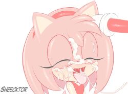 1girls after_fellatio amy_rose cum cum_in_mouth cum_on_face female furry hand_on_head male sega sheecktor sonic_(series)