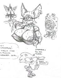 1girls breasts female furry joe_nutz large_breasts nipple_piercing rouge_the_bat sketch sonic_(series) sonic_the_hedgehog spongebob_squarepants spongebob_squarepants_(character) sweat sweaty_breasts tails traditional_media_(artwork)