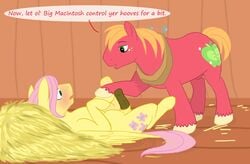 big_macintosh_(mlp) butterscotch_(mlp) cartoonlion equine fluttershy_(mlp) friendship_is_magic furry furry_only gay horse horsecock male my_little_pony no_humans pegasus penis pony rule_63 straight_hair yaoi