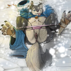 anthro ass bad_dragon barefoot canine claws female fur furry husky narse nude official_art partially_clothed piercing pussy showing sled snow solo tongue_out