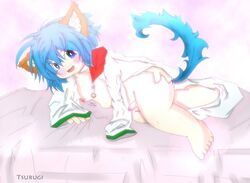 1boy blue_eyes feline half-dressed male male_only penis pose solo tsurugi