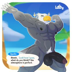 animal_crossing apollo_(animal_crossing) bara bara_tits beach beach_background beak big_penis black_penis dick falcon luxury_ar male male_only muscles muscular_male nintendo only_male relax solo solo_male tagme