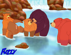 anal brother_bear disney feral feral_on_feral fuzzybaloo gay kenai male male_only penis sex tug_(brother_bear) voyeur water waterfall yaoi