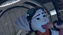 anthro blowjob fellatio furry guzemberg headgear hi_res human_on_anthro lombax open_mouth penis ratchet_and_clank:_rift_apart rivet_(ratchet_and_clank) self_upload sony_corporation sony_interactive_entertainment