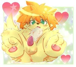 anus balls canine green_eyes heart male male_only orange_hair penis tsurugi