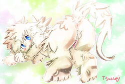 1boy anus balls blue_eyes canine hair male male_only penis presenting solo tsurugi white_hair